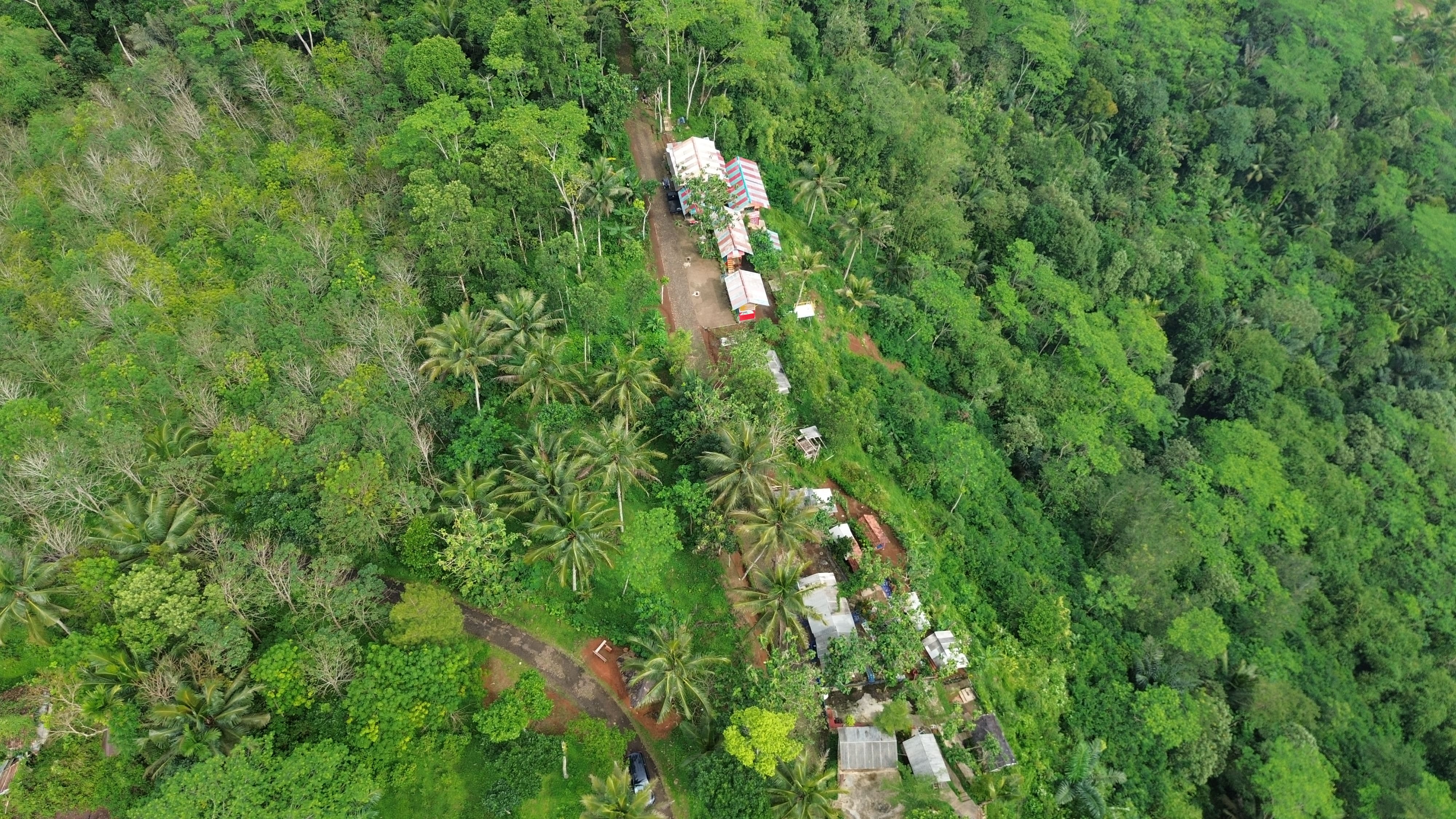 Consulting Excellence