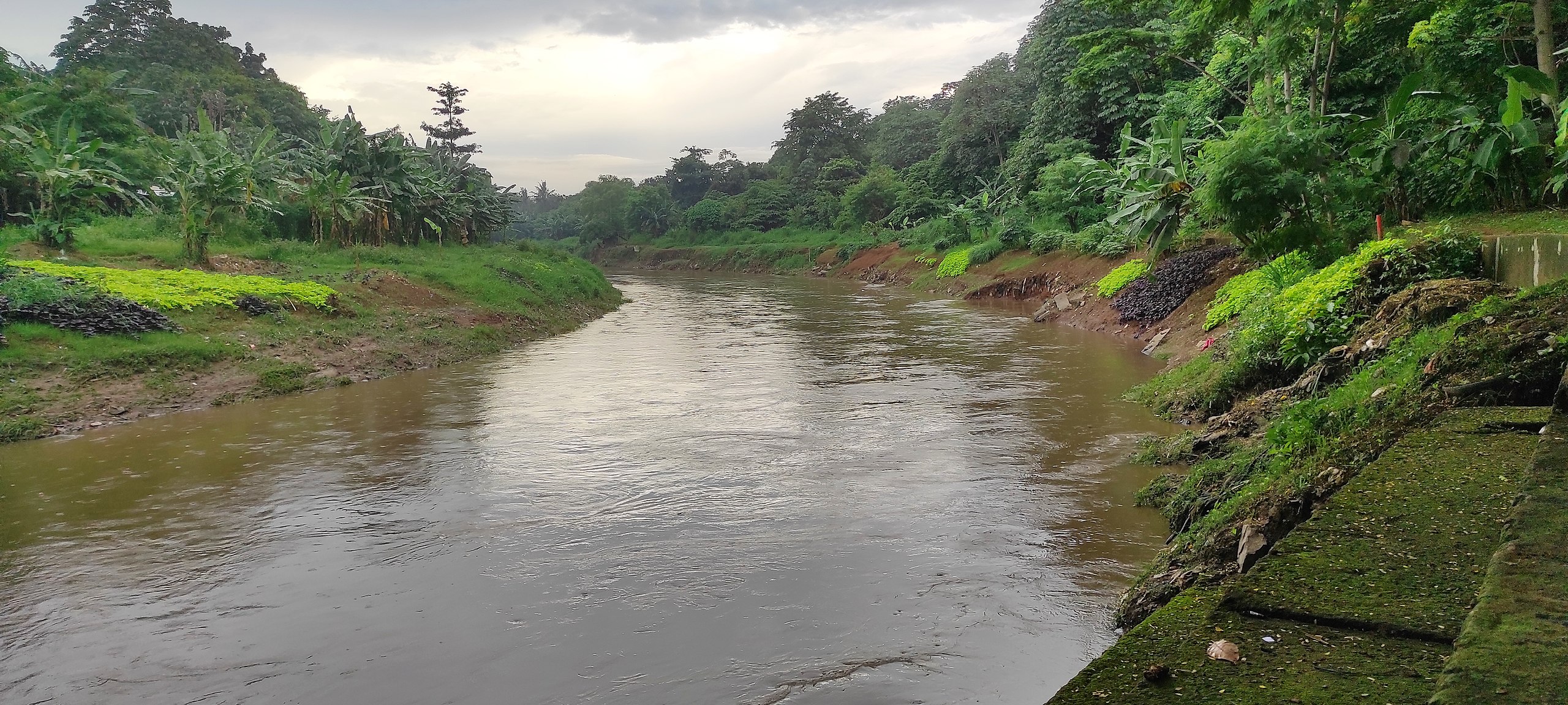 External Social Safeguard Monitoring for CW - 1, 2, 3, 4A and 4B Under Flood Management in Selected River Basin Sector Project (FMSRBSP)