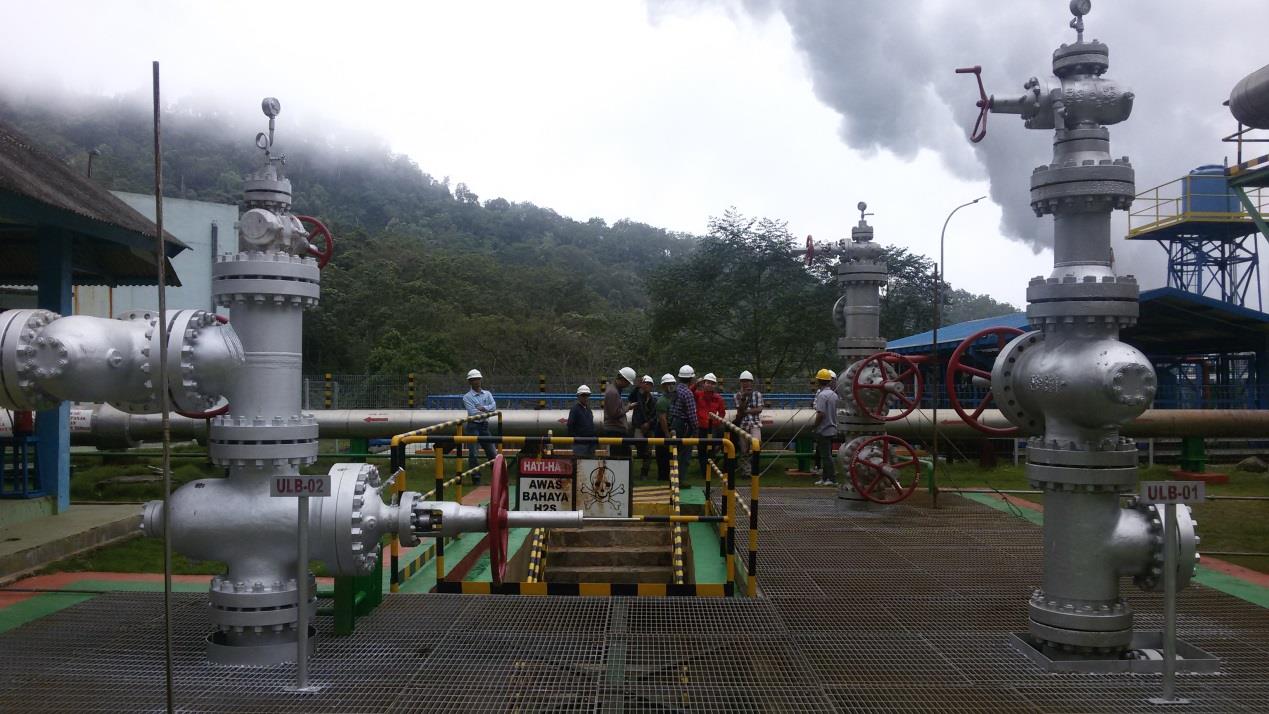 ESIA Update of Ulumbu & Mataloko Geothermal Power Plant Exploration and its Associated Facilities